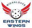 Eastern Wings Michalovce - MŽy